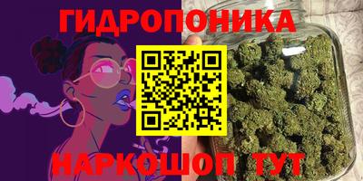 СК Нальчик