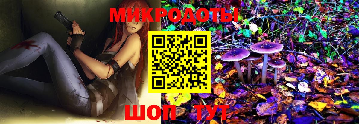 Псилоцибиновые грибы Cubensis Сатка
